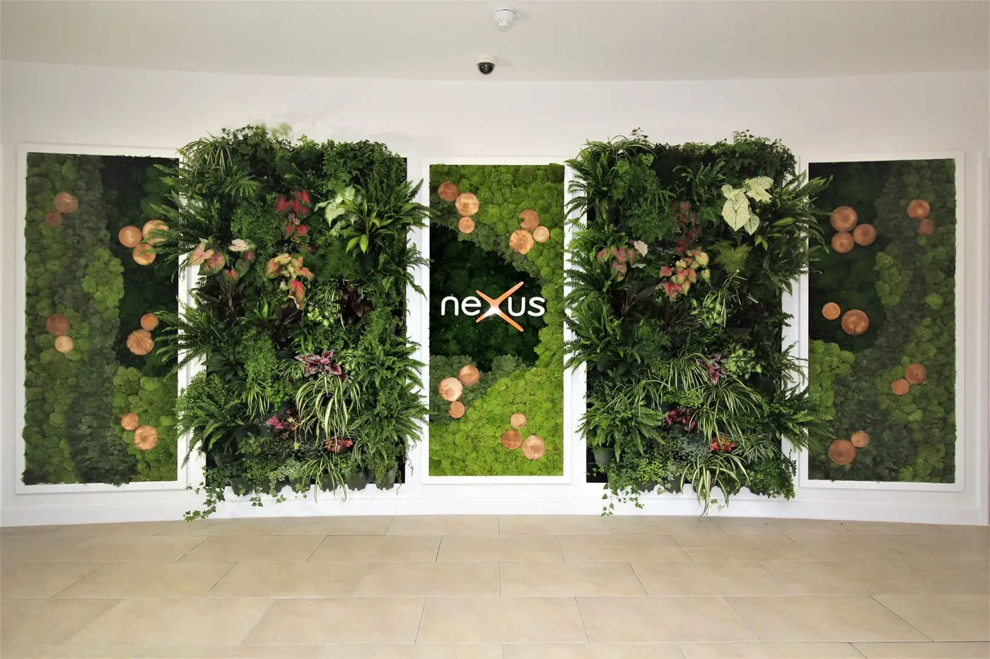 Training at Matrix Aesthetics Academy 2